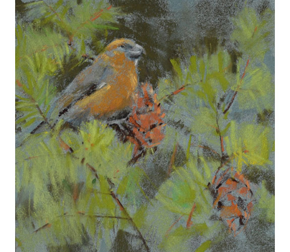 Randena Walsh "Crossbill"